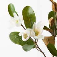 Magnolia Pearl Spray White 61cml