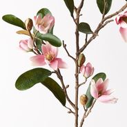 Magnolia Pearl Spray Pink 83cml