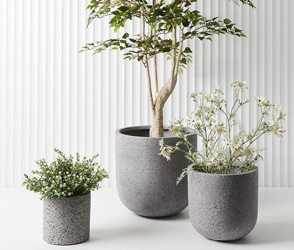 Floral Interiors Creative Living_Trees_Plants and Pots