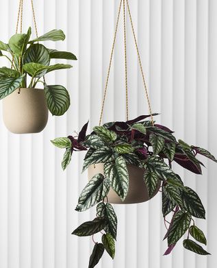 Floral Interiors Artificial Greenery Hanging