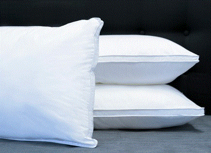 PILLOW TWIN PACK ULTRA PLUSH