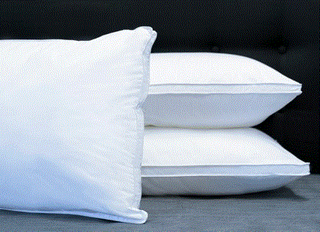 PILLOW TWIN PACK ULTRA PLUSH