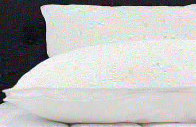PILLOW TWIN PACK ECO PLUSH