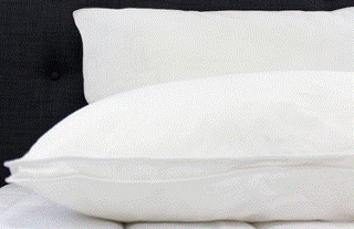 PILLOW TWIN PACK ECO PLUSH