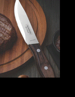 TRAMONTINA STEAK KNIFE