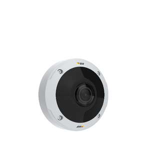 Axis 12MP 360Â° Indoor/Outdoor Panoramic Dome
