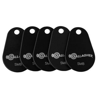 Gallagher SMB Key Tags X10 Black