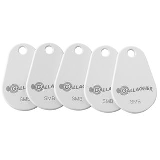 Gallagher SMB Key Tags X10 White