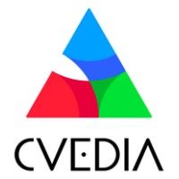 CVEDIA Single Channel Analytics Licence