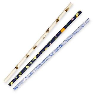 BioPak 6mm Regular Art Series BioStraw, 2500 straws per ctn