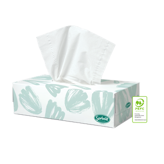 Sorbent Professional Facial Tissues 2 Ply, 100 Sheets Pkt, 48 Pkt per Ctn