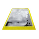 Matting