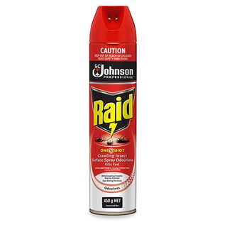 Raid One Shot Crawling Insect Surface Spray Odourless 450gm