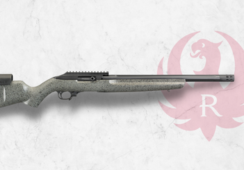 Ruger 10/22 Competition Review