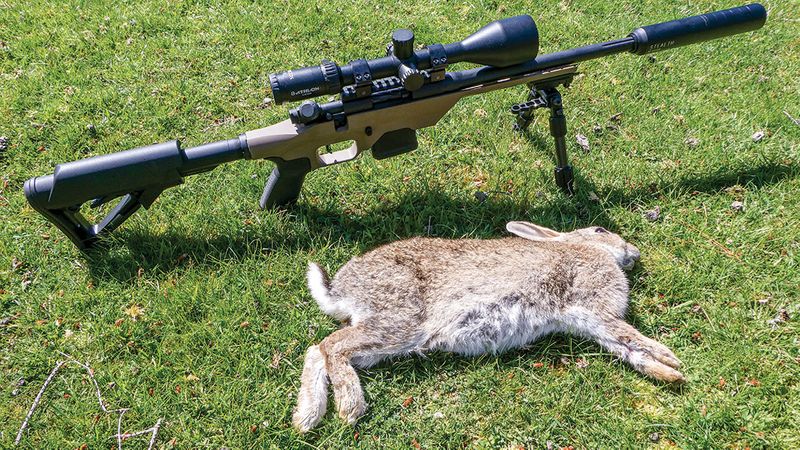 Mossberg MVP LC Rifle Review