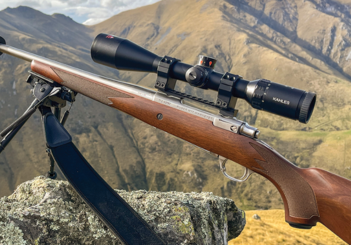 RUGER M77 HAWKEYE HUNTER REVIEW