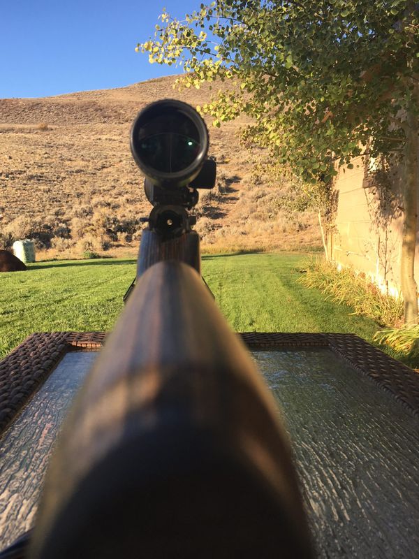 The How’s and Why’s of Bore Sighting A Bolt-Action Rifle