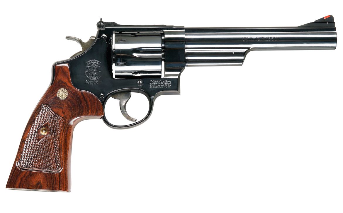 Model 29