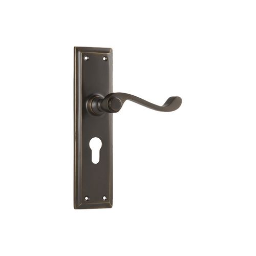 MILTON LEVER EURO AB 200X50MM TR