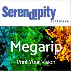 Serendipity Testimonials