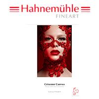 Hahnemuhle Cezanne Canvas