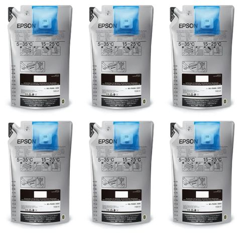Epson UltraChrome DS Ink 1.1L  x6 Black Bags (F6360 ONLY)