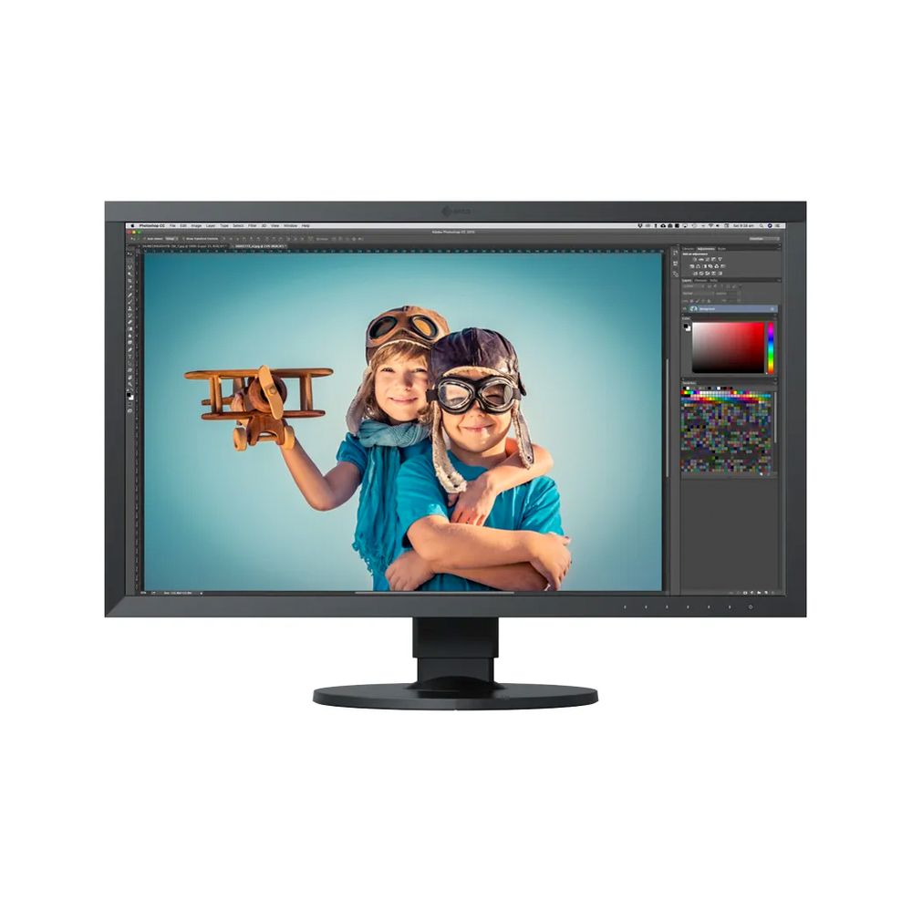 eizo monitor cs2731