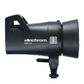 Elinchrom ELC 500/500 Umbrella To Go Kit