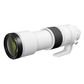 Canon EOS R RF 200-800mm F6.3-9 IS USM