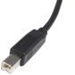 Startech USB-A To USB-B - 5m