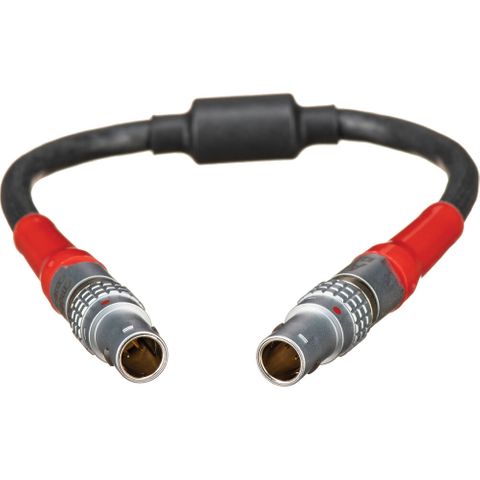 ARRI LBUS to LBUS Cable (8" / 20cm)