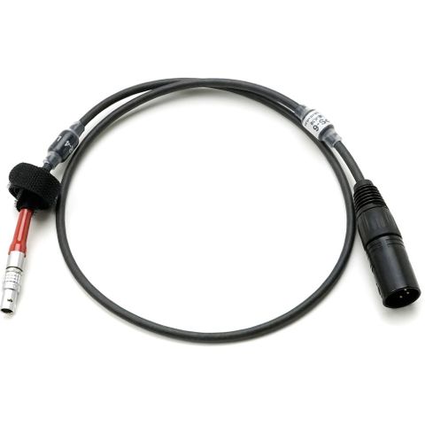 ARRI LBUS to 4-Pin XLR Power Cable (2.6ft / 80cm)