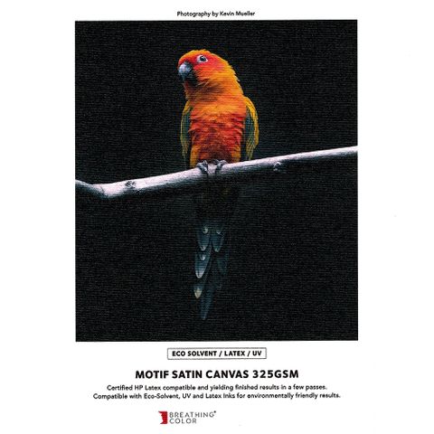 Breathing Color Motif Satin