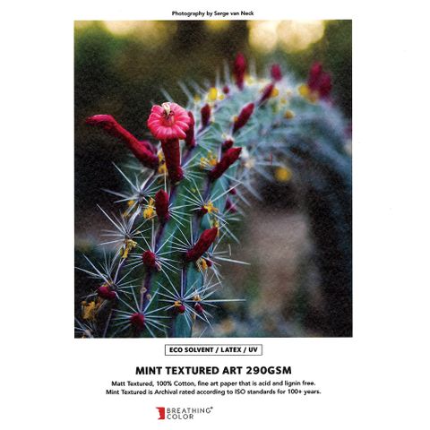 Breathing Color Mint Textured Art 290gsm