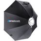 Westcott FJ400 II Strobe 1 Light Kit + FJ-X3 Sony