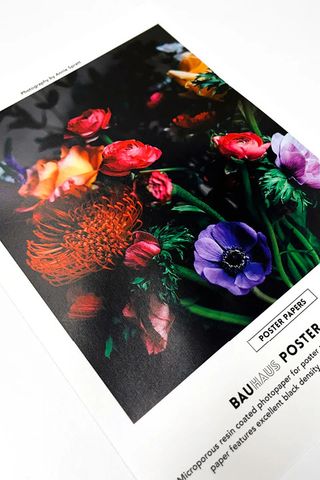 Bauhaus Satin Sluv Poster 225gsm 1270 X 50m