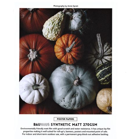 Bauhaus B/O S/A Synthetic Matt Aq 1067 X 30m