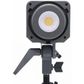 Amaran 100D S Daylight LED Light + 2.8m Lightstand