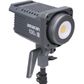 Amaran 100D S Daylight LED Light + 2.8m Lightstand