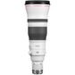 Canon EOS R RF 600mm F4.0L IS USM