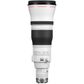 Canon EOS R RF 600mm F4.0L IS USM