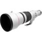 Canon EOS R RF 600mm F4.0L IS USM