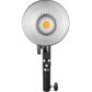 Godox ML30 2 Head Daylight LED Light Kit