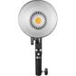 Godox ML30BI 2 Head Bi-Colour LED Light Kit