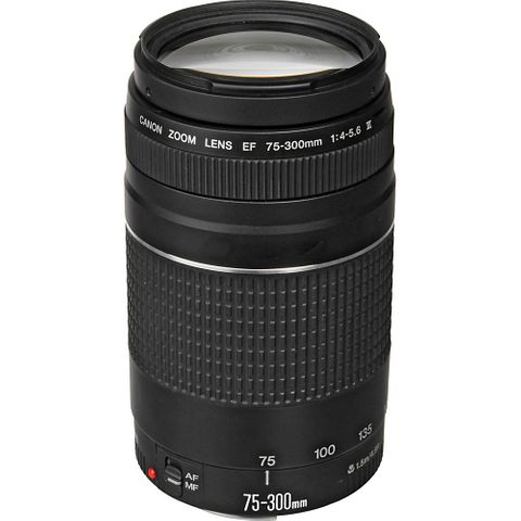 Canon EF 75-300mm F4-5.6 III