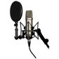 Rode NT2-A Microphone