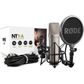 Rode NT2-A Microphone