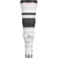 Canon EOS R RF 1200mm F8 L IS STM