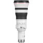 Canon EOS R RF 800mm F5.6 L IS STM