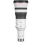 Canon EOS R RF 800mm F5.6 L IS STM